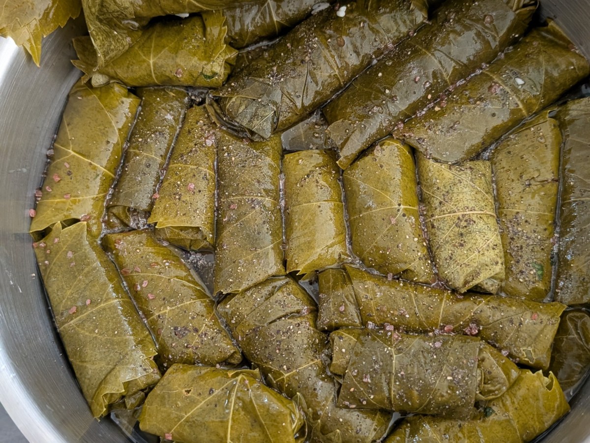 Dolmadákia (Gefüllte Weinblätter)